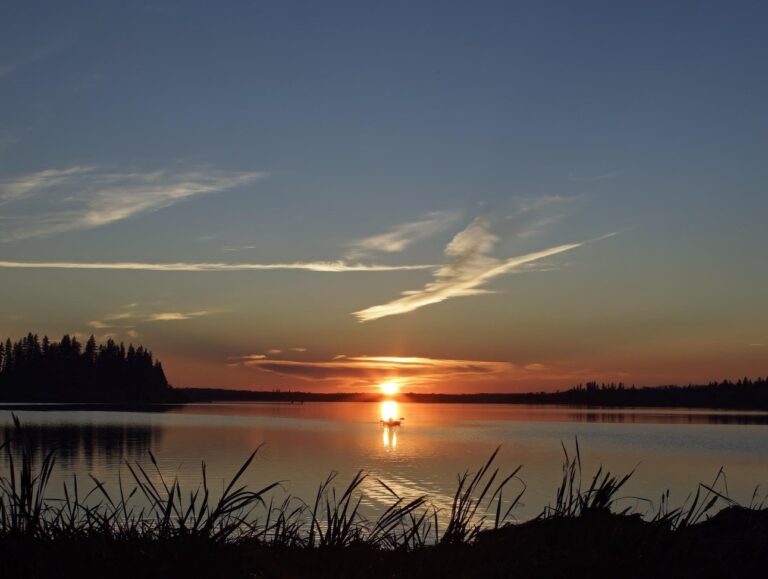 elk island national park