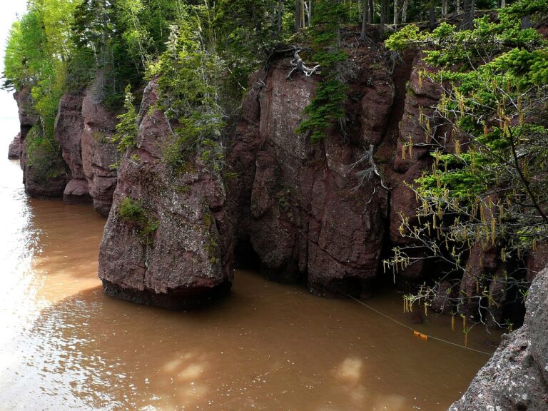 Fundy national park