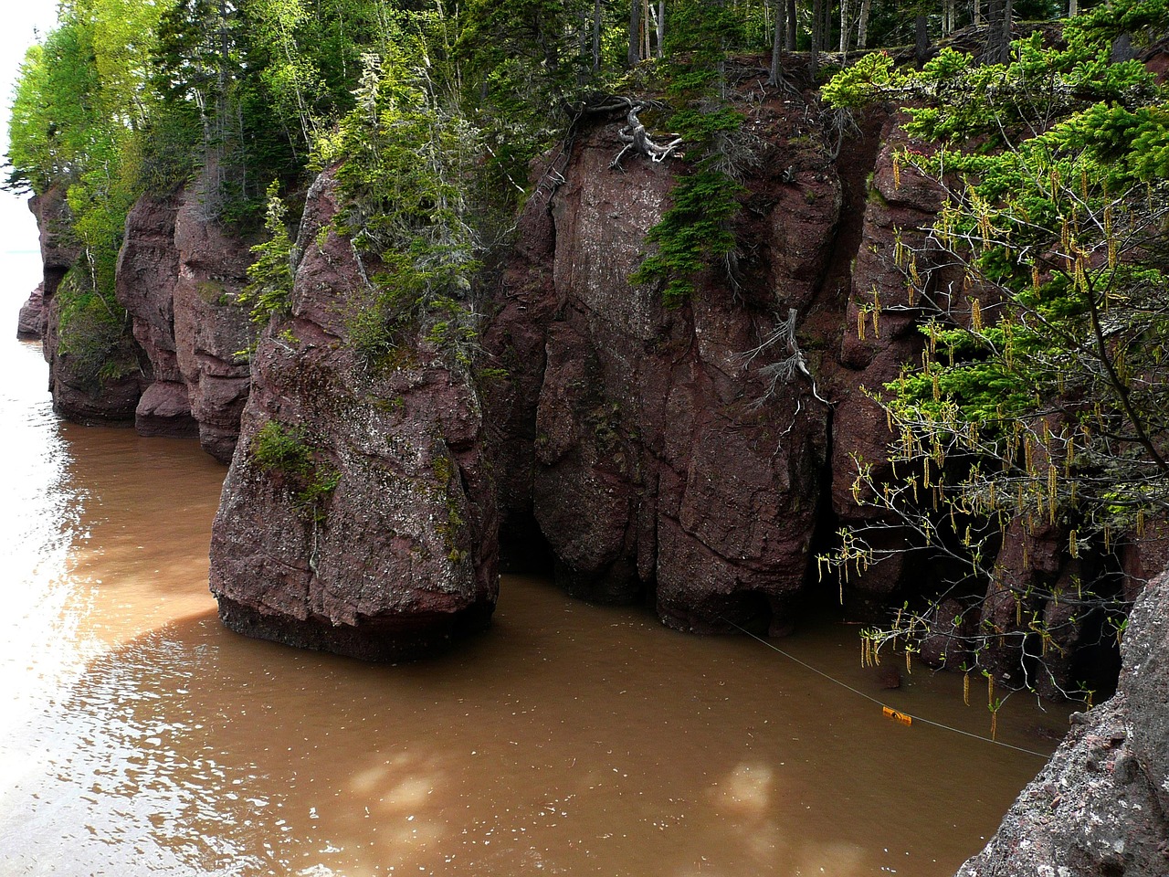 Fundy national park