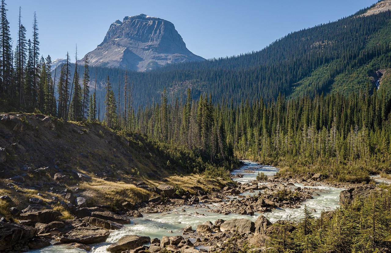 yoho national park