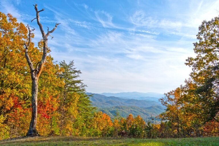 Tennessee – atrakcje, Nashville, Memphis, muzyka country i Góry Smoky Mountains